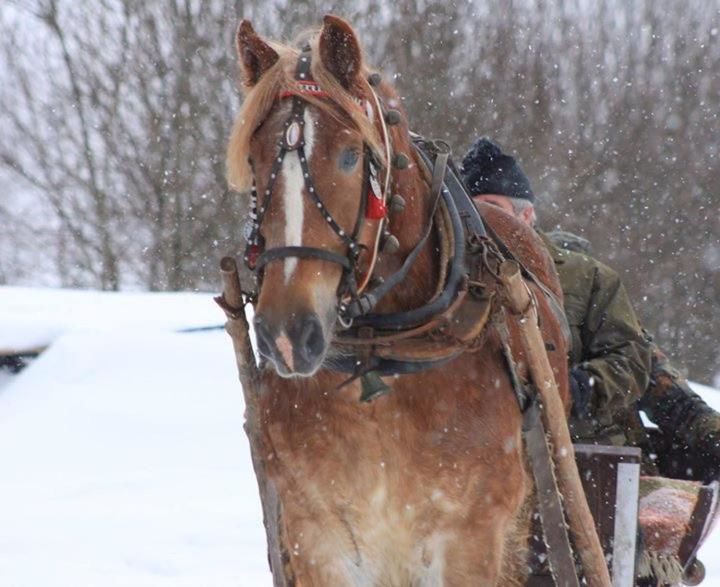 Дома для отпуска Ciche Pole Маньови-42